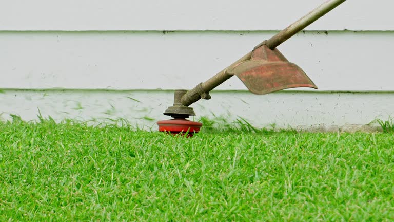 Best Sod Installation  in Holiday City Berkeley, NJ